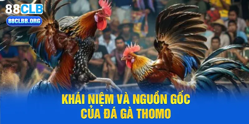 Khái niệm và nguồn gốc của đá gà thomo