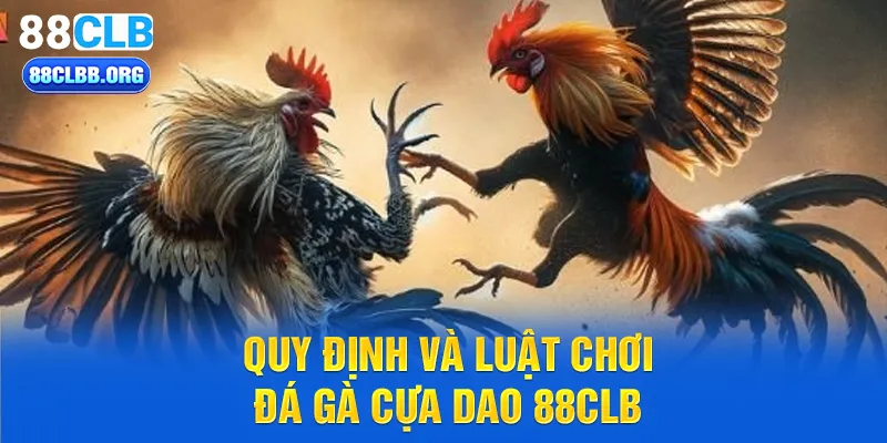 Quy định và luật chơi đá gà cựa dao 88CLB